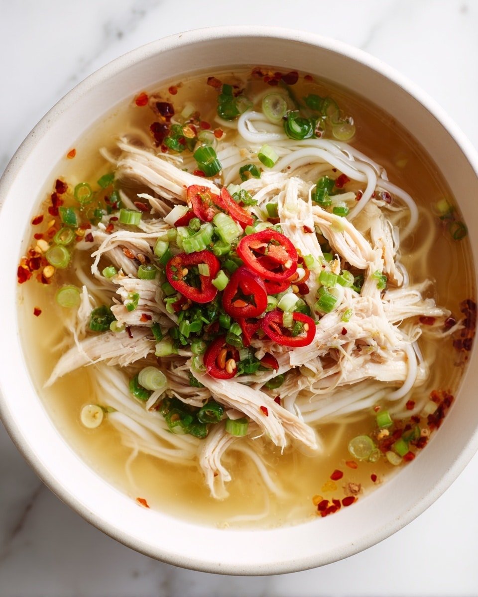Aromatic Ginger Garlic Chicken Noodle Soup Recipe - Recipe Image — Aromatic Ginger Garlic Chicken Noodle Soup, healthy chicken noodle soup, spicy ginger garlic broth, cozy chicken soup recipe, Asian-inspired chicken noodle soup